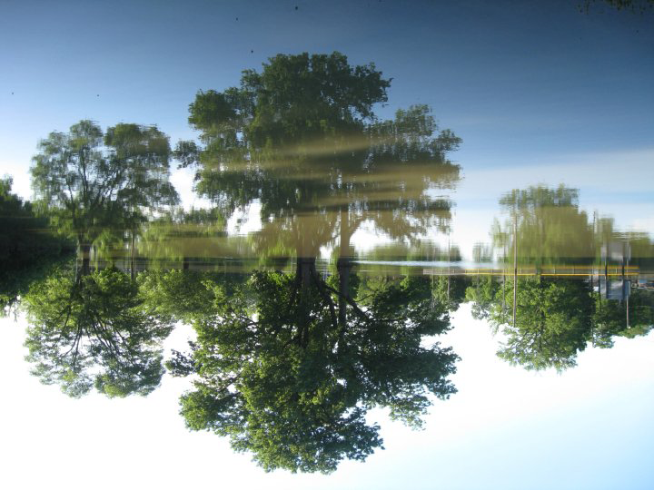 Flooding can be beautiful Image